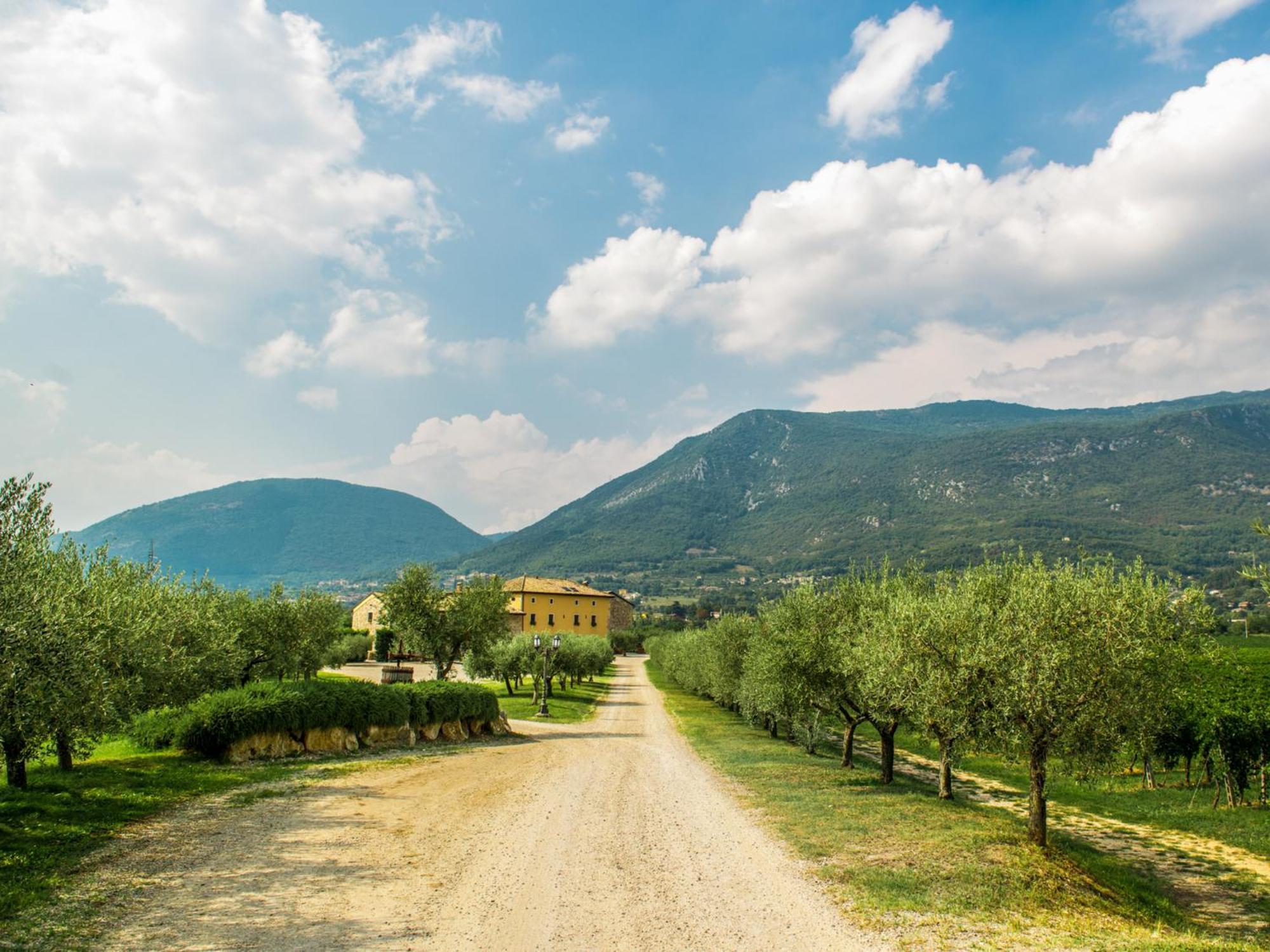 Tenuta La Presa 卡普里诺韦罗内塞 外观 照片